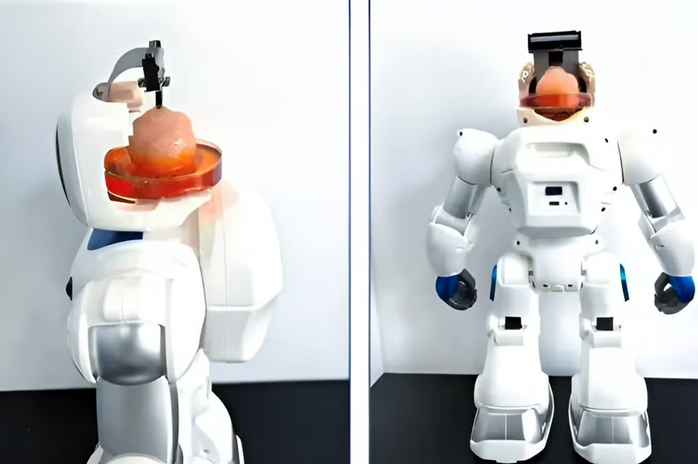 CHINA JUST BUILT A ROBOT WITH A HUMAN BRAIN: THE MOST TERRIFYING LEAP IN TECHNOLOGY HISTORY
